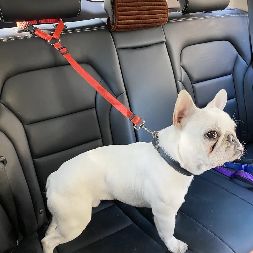 Cinturón de Seguridad para Perros